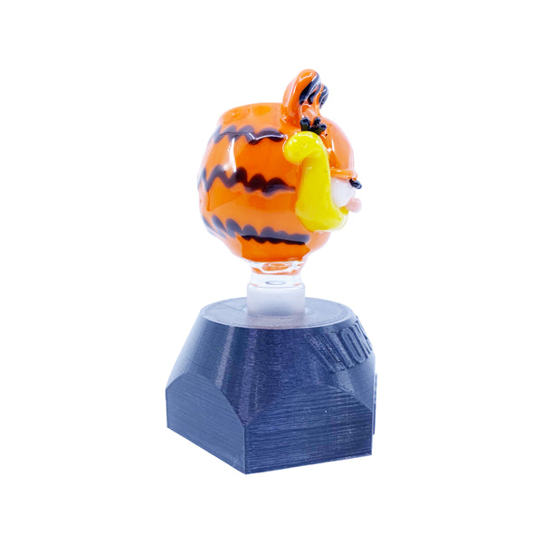 Tammy Baller - "Garfield" Slide