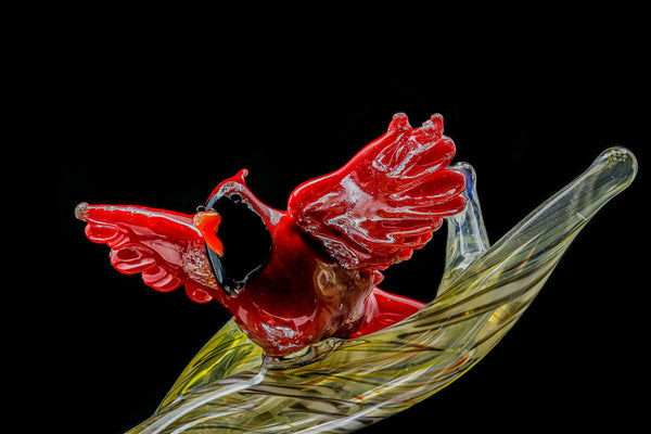 Jerry Kelly X Tammy Baller "SPRING" Functional